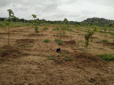 Project Image of 1485.0 - 7200.0 Sq.ft Residential Plot Plot for buy in Sree Bhuvi Pharma City