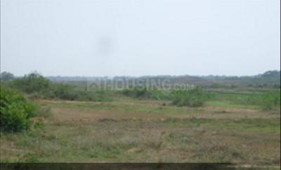Project Image of 2000.0 - 2400.0 Sq.ft Residential Plot Plot for buy in SRB Sri Jagannath Vihar III