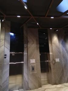 Project Image of 1615.0 - 1755.0 Sq.ft 3 BHK Apartment for buy in Tolly Exotica