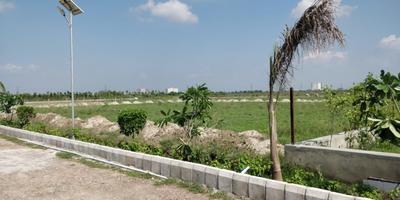 Project Image of 0.0 - 9072.0 Sq.ft Residential Plot Plot for buy in Sawera Country Farm