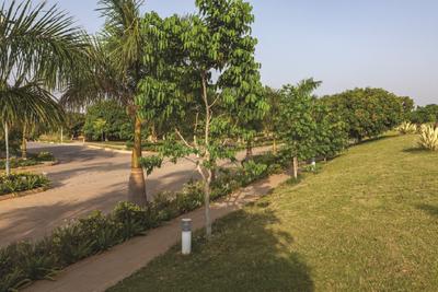 Goyal Orchid Nirvana 2 Landscape Garden and Tree Planting 4