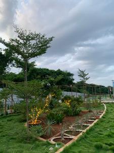 Project Image of 600.0 - 1800.0 Sq.ft Residential Plot Plot for buy in GTK Eden Garden