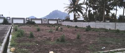 Project Image of 353.0 - 3109.0 Sq.ft Residential Plot Plot for buy in Dharan Sastha Nagar