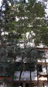 Project Image of 0.0 - 705.0 Sq.ft 1 BHK Apartment for buy in Shree Shivdham CHS