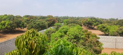 Project Image of 5178.0 - 11433.0 Sq.ft Residential Plot Plot for buy in PK Mango Nest Farmlands
