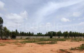 Project Image of 2525.86 - 2939.3 Sq.ft 4 BHK Villa for buy in NVT Whispering Hues