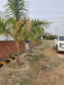 Project Image of 1000.0 - 3000.0 Sq.ft Residential Plot Plot for buy in Radical Bhagirath City