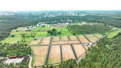 Project Image of 451.6 - 5822.0 Sq.ft Residential Plot Plot for buy in Coco Enclave