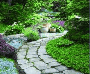 Project Image of 800.0 - 1700.0 Sq.ft 2 BHK Apartment for buy in Kriticons Jirawala Paradise