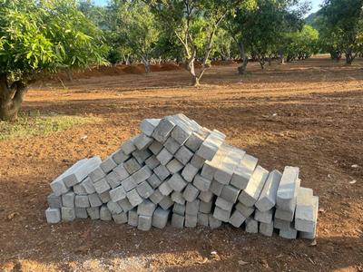 Project Image of 1503.0 - 4500.0 Sq.ft Residential Plot Plot for buy in Sai Mango Garden