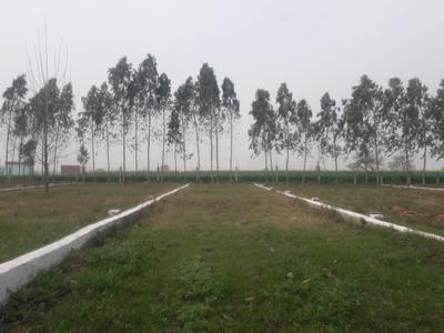 Project Images