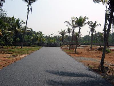 Project Image of 1572.0 - 3571.0 Sq.ft Residential Plot Plot for buy in Coral Gardens
