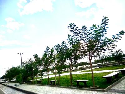 Project Image of 850.0 - 2900.0 Sq.ft Residential Plot Plot for buy in DCNPL GreensVille