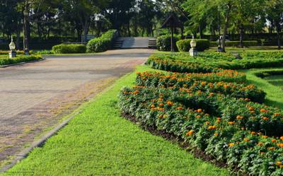 Project Image of 398.27 - 644.99 Sq.ft 1 BHK Apartment for buy in Soha Olive Homes