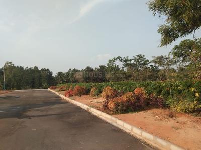 Project Image of 950.0 - 3586.0 Sq.ft Residential Plot Plot for buy in MBSR Sanjeevini