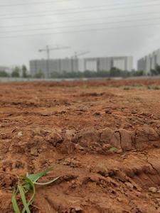 Project Image of 1500.0 - 2400.0 Sq.ft Residential Plot Plot for buy in Prithvi Silver Wood