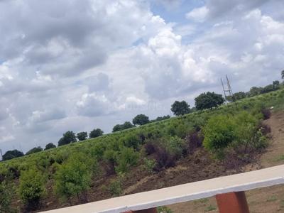 Project Image of 1089.0 - 5445.0 Sq.ft Residential Plot Plot for buy in SSL Peacock Avenue