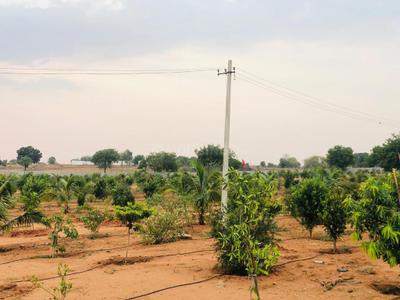 Project Image of 900.0 - 18000.0 Sq.ft Residential Plot Plot for buy in Sivom Sahasra Farmland 2