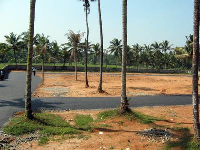 Project Image of 1572.0 - 3571.0 Sq.ft Residential Plot Plot for buy in Coral Gardens