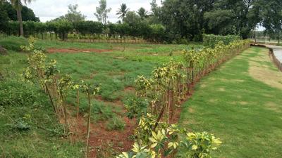 Project Image of 1108.0 - 2400.0 Sq.ft Residential Plot Plot for buy in Shriram Godhuli