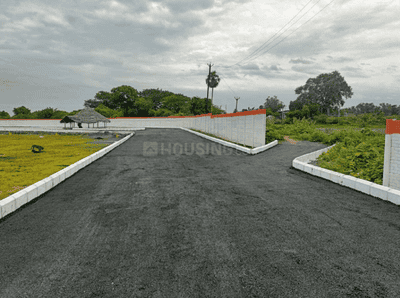 Project Images