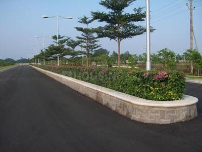 Project Image of 2403.0 - 4203.0 Sq.ft Residential Plot Plot for buy in Aparna Kanopy Jasmine