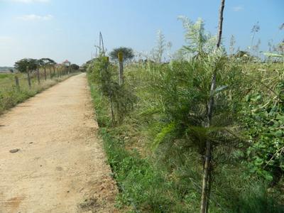Project Image of 900.0 - 2115.0 Sq.ft Residential Plot Plot for buy in Green Happy Valley
