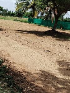Project Image of 435.5 - 3825.0 Sq.ft Residential Plot Plot for buy in Vetri Avenue