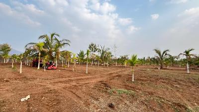 Project Image of 5717.0 - 7078.0 Sq.ft Agricultural Land Agricultural Land for buy in Swaraa