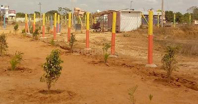 Project Image of 633.0 - 1533.0 Sq.ft Residential Plot Plot for buy in Mahalakshmi Nagar