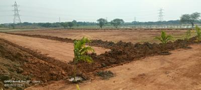 Project Image of 2178.0 - 10890.0 Sq.ft Residential Plot Plot for buy in Eagle Dhanalakshmi Grandeur
