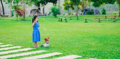 Project Image of 237.0 - 650.0 Sq.ft 1 RK Apartment for buy in Vighnaharta Aaradhya