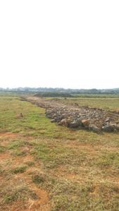 Project Image of 1400.0 - 4000.0 Sq.ft Residential Plot Plot for buy in Lotus RVP City