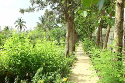 Project Image of 900.0 - 2400.0 Sq.ft Residential Plot Plot for buy in Century Greens Phase 1