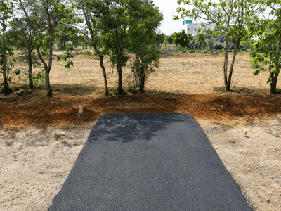 Project Images