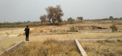 Project Image of 359.95 - 3779.96 Sq.ft Residential Plot Plot for buy in Triyam Nirmal Kunj Enclave