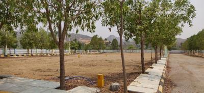 Project Image of 1134.0 - 2160.0 Sq.ft Residential Plot Plot for buy in Land Sai Akshiktha Eastern Meadows