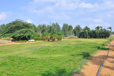 Project Image of 1200.0 - 2400.0 Sq.ft Residential Plot Plot for buy in Abhaya Aditya Grand
