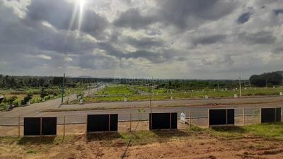 Project Image of 833.0 - 3106.0 Sq.ft Residential Plot Plot for buy in Shriram Gulmohar Park