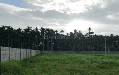 Project Images