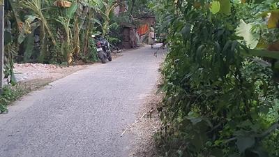Project Image of 720.0 - 3600.0 Sq.ft Residential Plot Plot for buy in Bhasa Eco Village