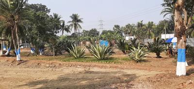 Project Image of 1440.0 - 4320.0 Sq.ft Residential Plot Plot for buy in P A Ramkrishna Abasan