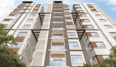 Skill Fern Heights Elevation 2