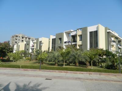 Project Image of 1119.0 - 1619.0 Sq.ft 2 BHK Apartment for buy in Ashadeep Gulmohar Walkup Apartment
