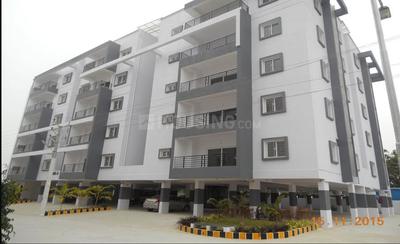 Green Prime C Elevation 1