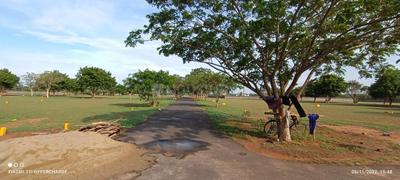 Project Image of 1250.0 - 5056.0 Sq.ft Residential Plot Plot for buy in JK Sendhur Nagar