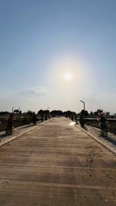Project Image of 420.12 - 1723.3 Sq.ft Residential Plot Plot for buy in Maa Ginni Park