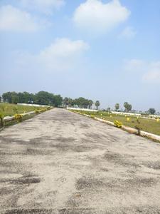 Project Image of 1119.24 - 5281.2 Sq.ft Residential Plot Plot for buy in Ananda Vihar