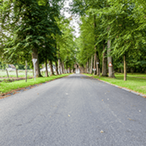 Project Image of 1141.0 - 3595.0 Sq.ft Residential Plot Plot for buy in Sai LR Green Chips