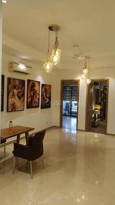Project Image of 0.0 - 2700.0 Sq.ft 4 BHK Builder Floor for buy in Palm Floor Mayfield Garden D 24